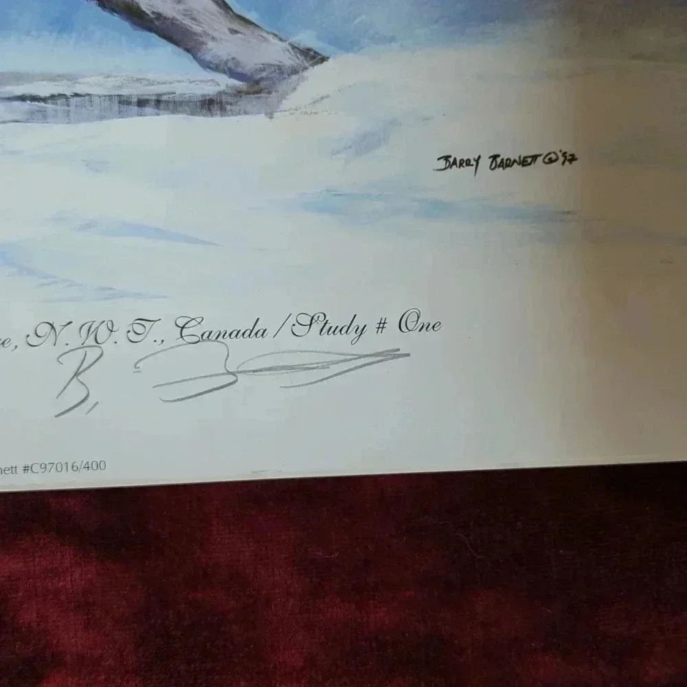 Barry Barnett Signed Limited edition prints - Picture 2 of 5